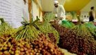 وفقا لدراسة.. تعرف على ترتيب الدول في إنتاج التمور