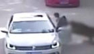 صينية تقاضي حديقة سفاري بعد أن هاجمها نمر