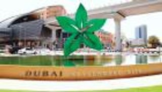 إنفوجراف.. ازدهار السياحة العلاجية في الإمارات