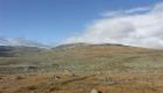 فنلندا تطلب هدية غريبة في مئوية استقلالها.. والنرويج ترفض