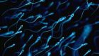 حبوب منع الحمل للرجال أيضا.. تشل الحيوان المنوي