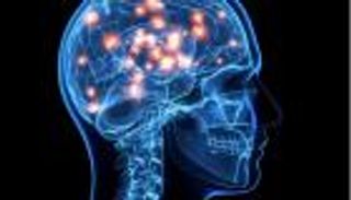 الكذبة الصغيرة تعد الدماغ لأكاذيب أكبر