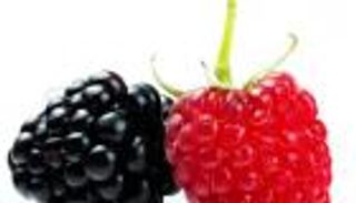 التوت يعمل على فقدان الوزن