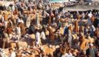 حاول سرقة شيخ جزائري.. وكان العقاب قاسيا