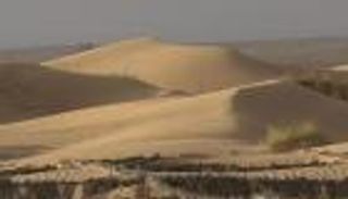 واحات المغرب.. شبح الاختفاء