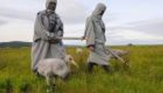 بالصور.. "أمهات بديلات" لإنقاذ طائر الكركي من الانقراض