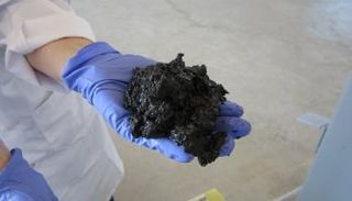 وقود المستقبل يمكن الحصول عليه من المخلفات البشرية