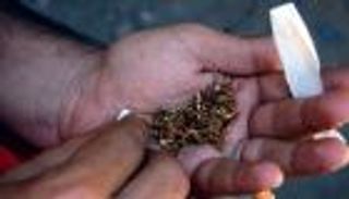 مخاوف مغربية من انتشار مخدر الحشيش تحت ستار الاستخدام الطبي