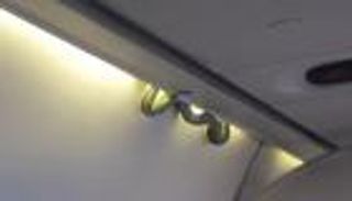 بالفيديو.. ثعبان ضخم على متن طائرة بالمكسيك يثير رعب الركاب