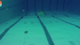 نساء يعشن حياة حوريات البحر في هولندا