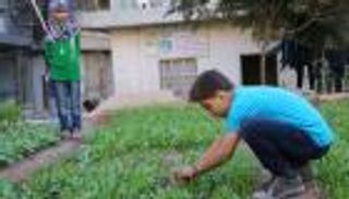 أهالي حلب يعتمدون على الزراعة المنزلية لتأمين الغذاء