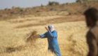 سوريا تواجه أسوأ كارثة غذائية