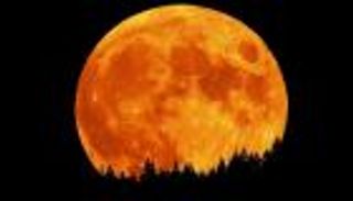 آلاف الشغوفين يشاهدون "القمر العملاق"