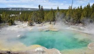 الينبوع في منتزه أمريكي