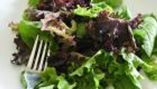 حقائب السلطة الجاهزة أرضية خصبة للسالمونيلا القاتلة