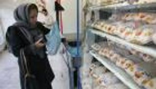 إيران.. تفشي إنفلونزا الطيور شديدة العدوى ونفوق 5600 طائر