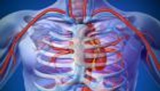 العثور على طريق وصول الكوليسترول إلى الجسم 