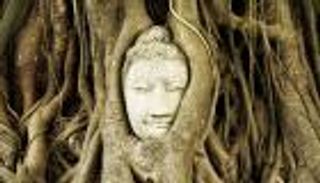 7 صور من أيوثايا التايلاندية التي يهددها التوسع العمراني