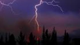 إنفوجراف.. حرائق الغابات كيف تبدأ وكيف تنتهي؟