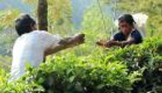 18 حكما بالإعدام عقوبة اغتيال مدير شركة شاي بسريلانكا