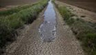 فلسطين.. الأمطار تخاصم الأرض وشكوى المزارعين تتزايد