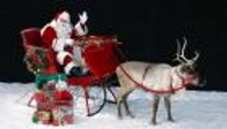 بالفيديو .. حيوان الرنة.. "ديلفيري" بيتزا في اليابان