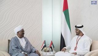 جانب من لقاءات الشيخ محمد بن زايد