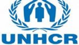 خطف 3 موظفين بمفوضية الأمم المتحدة للاجئين في دارفور 