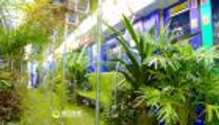 بالصور.. في الصين المترو يتحول لغابة 