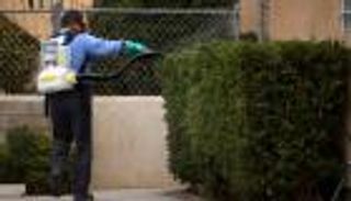 أول إصابة بفيروس زيكا في ولاية تكساس الأمريكية