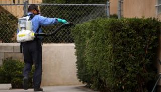 رجل يرش مبيدا حشريا لمكافحة فيروس زيكا 