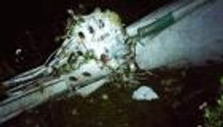 العثور على الصندوقين الأسودين لطائرة فريق البرازيل المنكوبة