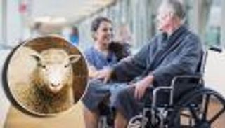 النعجة "دوللي" تعالج الشلل الرعاش