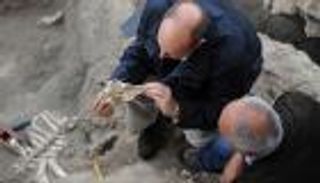 علماء يصادفون ورماً خبيثاً بفك حفرية عمرها 255 مليون عام