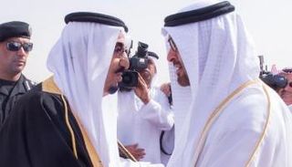 الملك سلمان والشيخ محمد بن زايد 