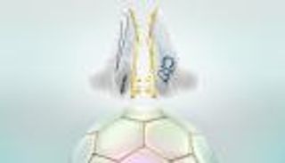 حذاء غريب أول هدية لرونالدو بعد الكرة الذهبية