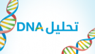 إنفوجراف.. "دي إن إيه" الطريق السريع لكشف المجرمين