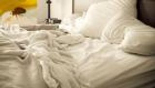 تحذير:  ترتيب الفراش صباحا يزيد الحشرات 