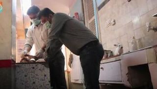 مستشفى هندي للطيور الجارحة