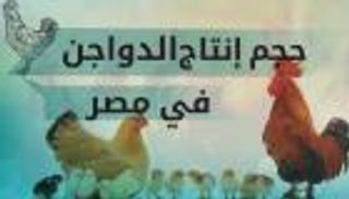 إنفوجراف.. صناعة الدواجن في مصر