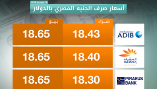 الدولار يواصل الارتفاع أمام الجنيه المصري