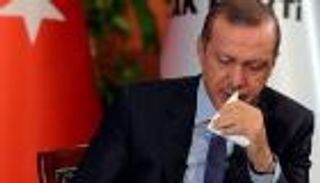 هولندا تحتج ضد تدخل تركيا في أراضيها