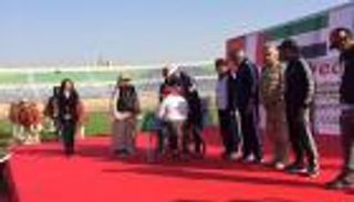 سفير الإمارات يكرم الفائزين بسباق الاحتياجات الخاصة في ماراثون زايد