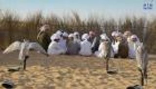 افتتاح مدرسة محمد بن زايد للصقارة وفراسة الصحراء في العين