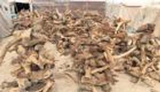 تسويق الحطب السعودي إلكترونيا للهروب من المساءلة القانونية