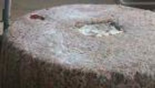 "العين" تفك شفرة حجر فرعوني استخدمه "جزار" لتقطيع اللحم