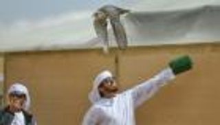 إنفوجراف.. أنشطة ومراكز الصحراء والصقور في الإمارات