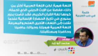 الشاعر محمد أبو زيد: العربية لعبت دورا محوريا في الحضارة الإنسانية