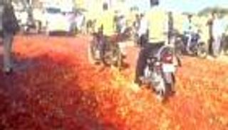 الطماطم الهندية ضحية إلغاء العملة فئة 1000 روبية