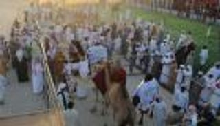 بالصور: مهرجان الظفرة يجذب 14 ألف مشارك